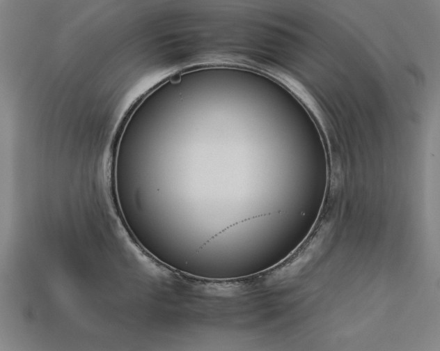 X0000113951053200909251335