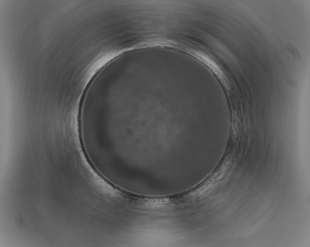 X0000113951055200909251335