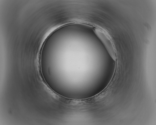 X0000113951056200909251335