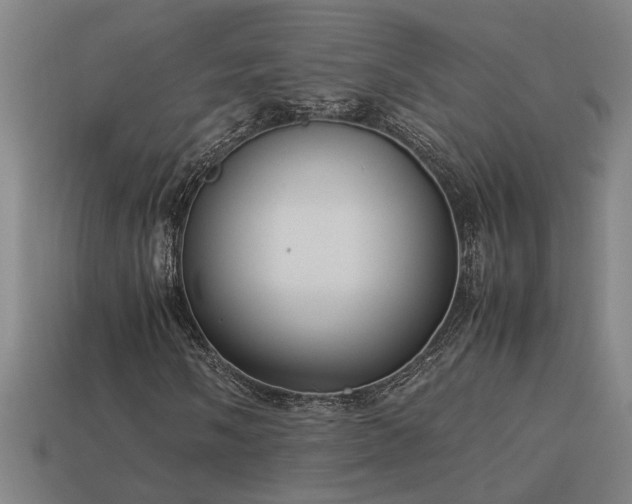 X0000113951058200909251334