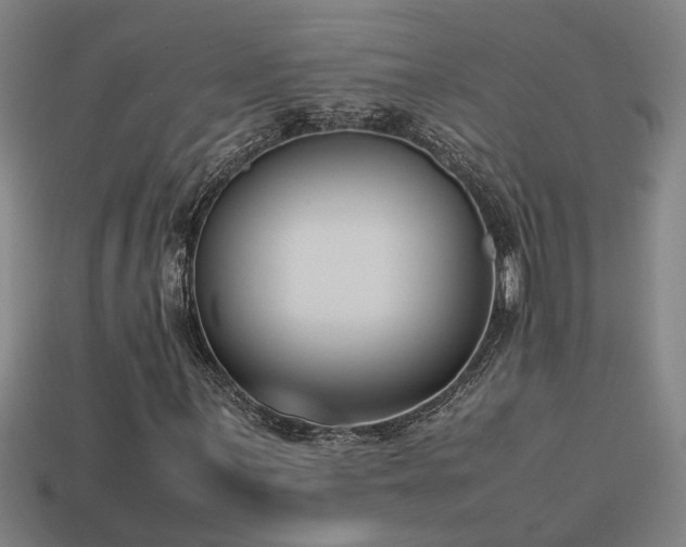 X0000113951059200909251334