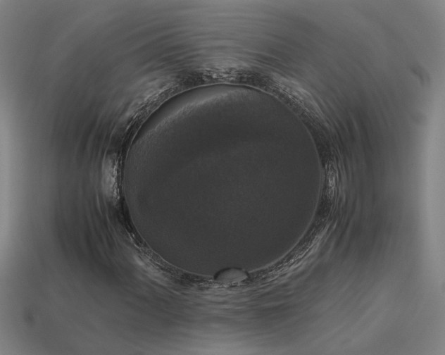 X0000113951060200909251334