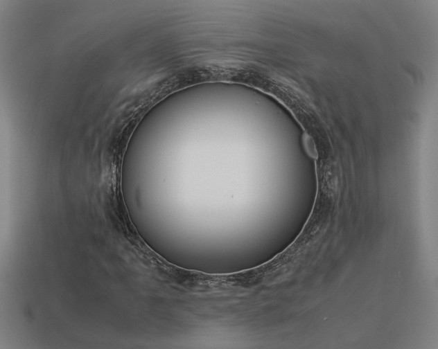X0000113951061200909251334