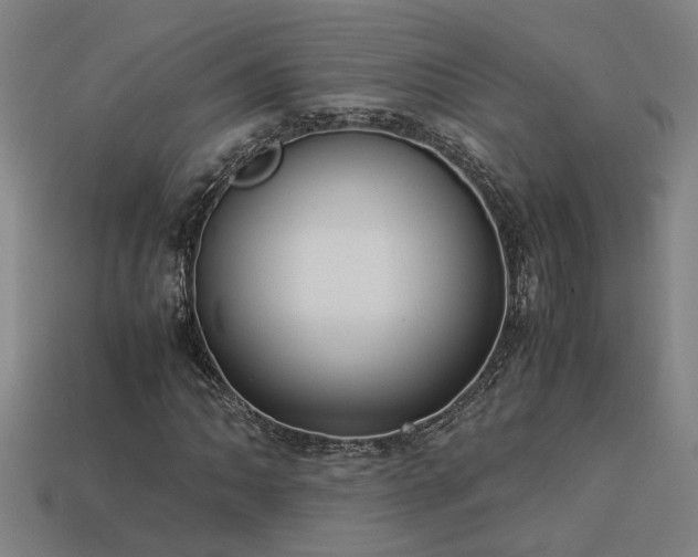 X0000113951062200909251334