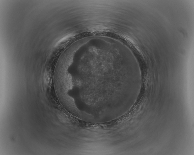 X0000113951063200909251334