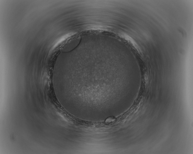 X0000113951064200909251334