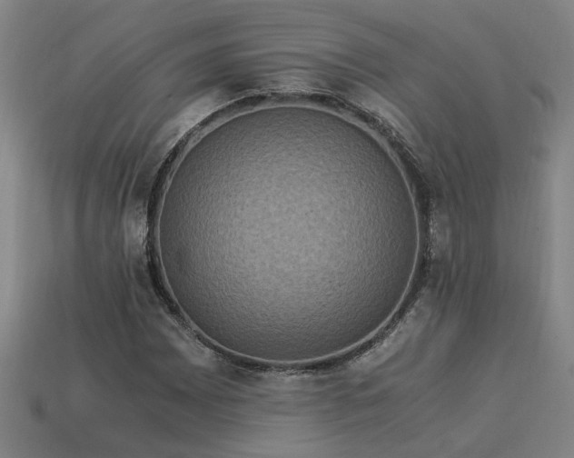 X0000113951065200909251334
