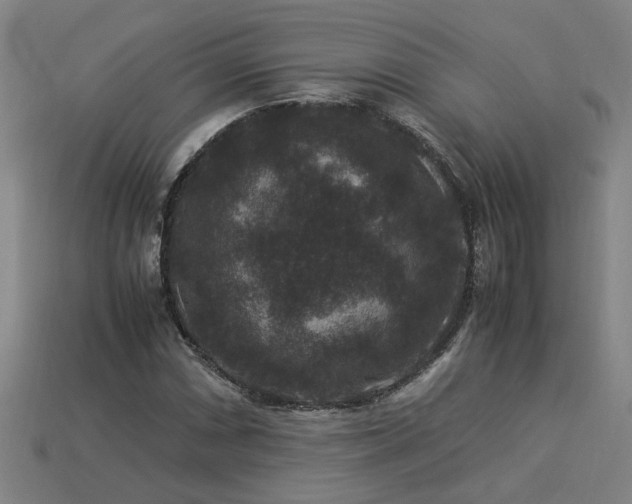 X0000113951066200909251334