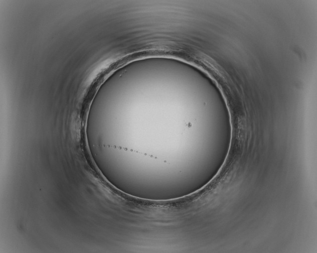 X0000113951067200909251334