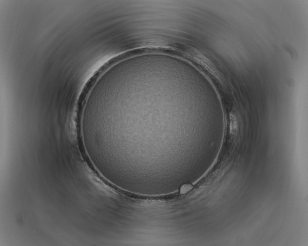 X0000113951068200909251334