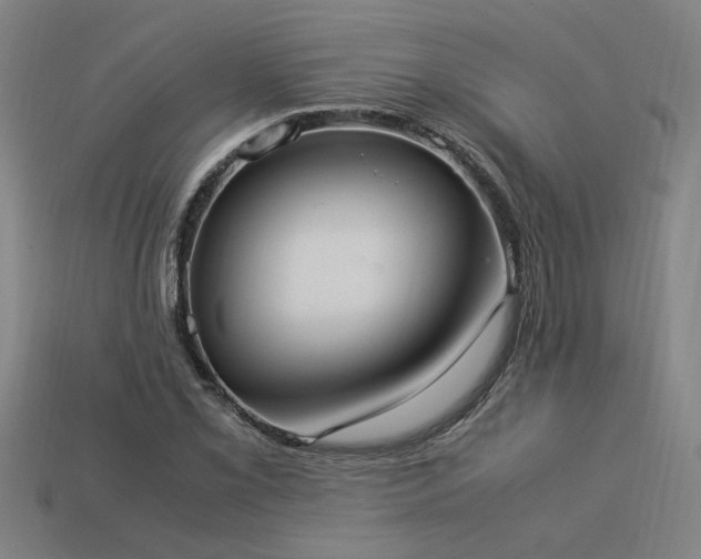 X0000113951069200909251334