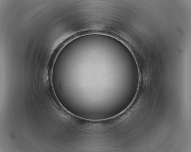 X0000113951070200909251334