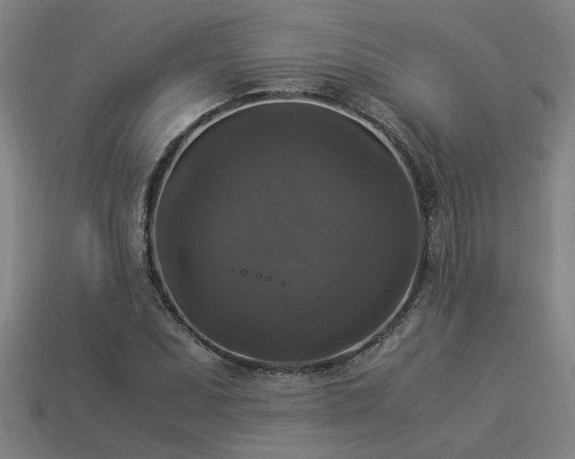 X0000113951071200909251334