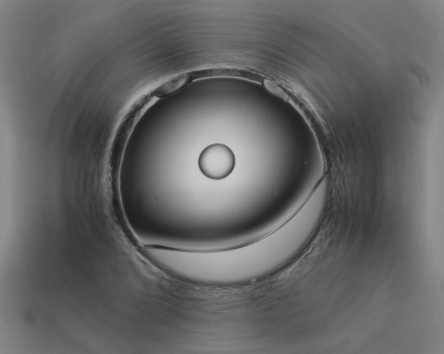 X0000113951072200909251334