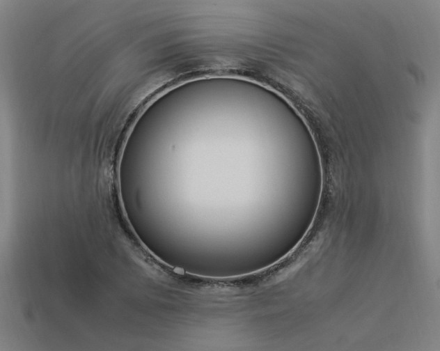 X0000113951073200909251334