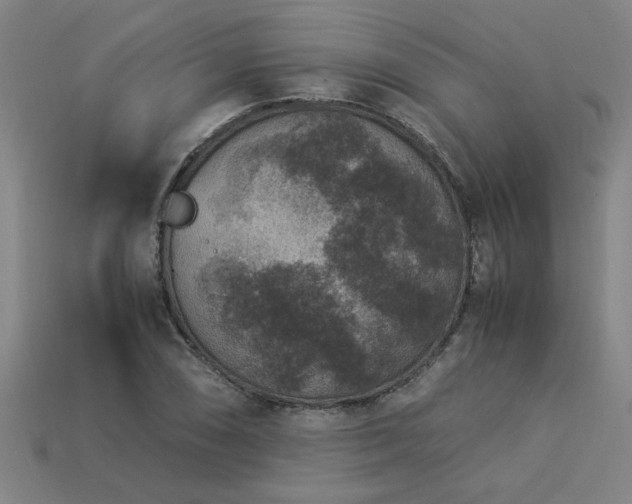 X0000113951074200909251334