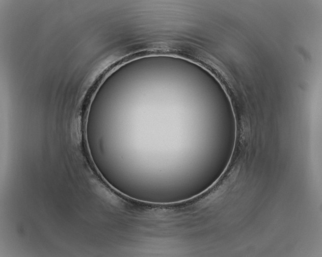 X0000113951075200909251334