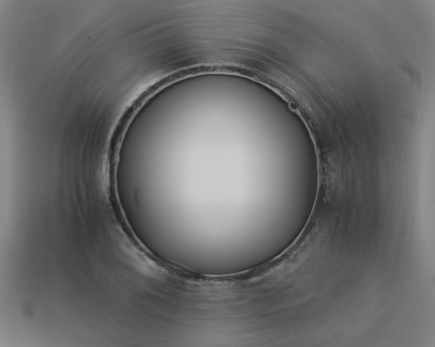 X0000113951076200909251334