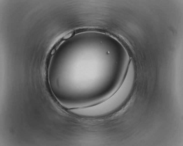 X0000113951077200909251334