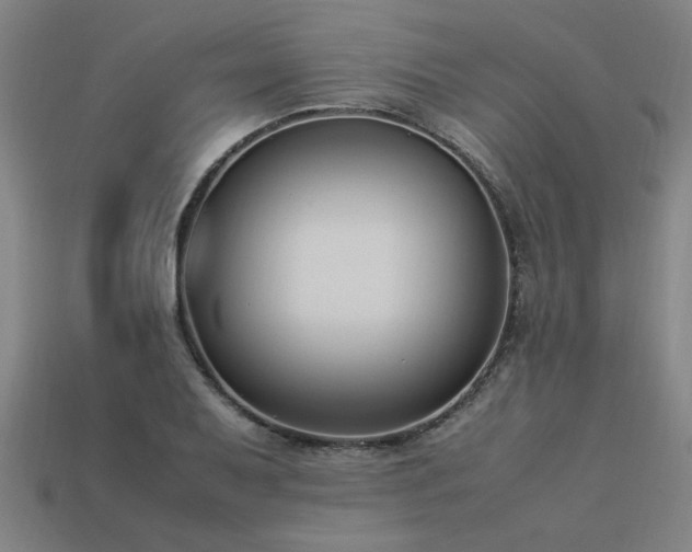 X0000113951079200909251334