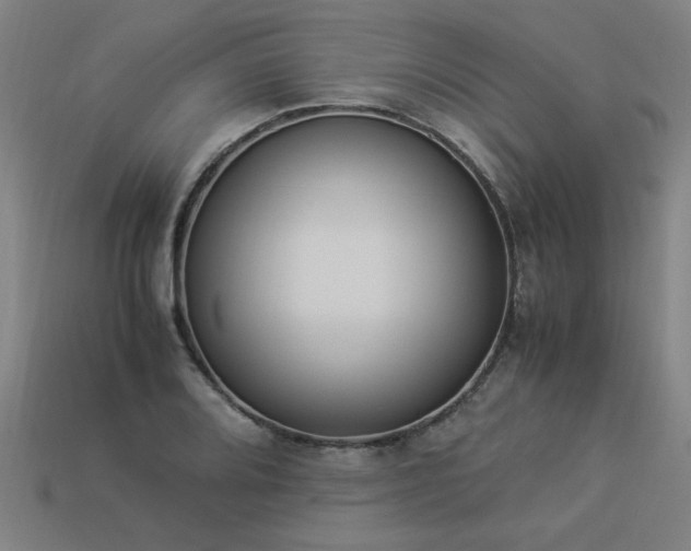 X0000113951080200909251334