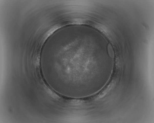 X0000113951081200909251334