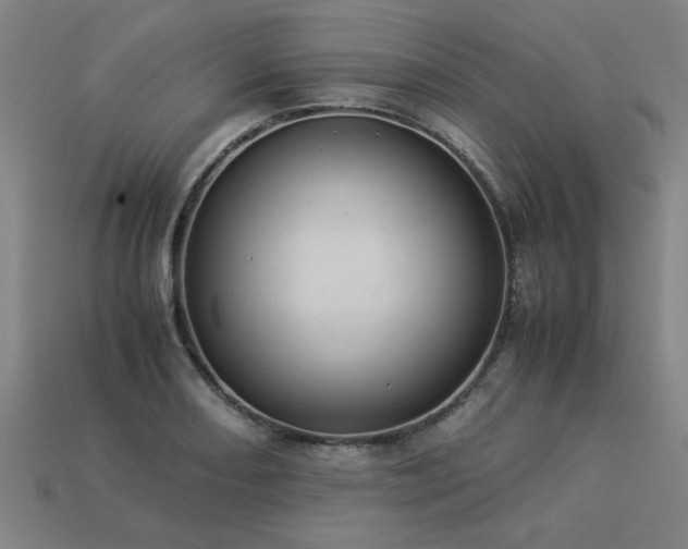 X0000113951082200909251334