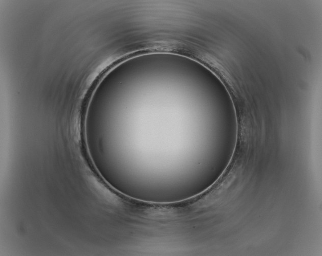 X0000113951083200909251334