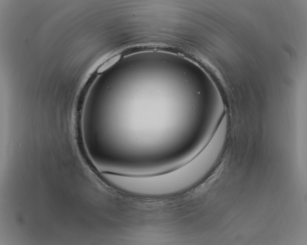 X0000113951085200909251334