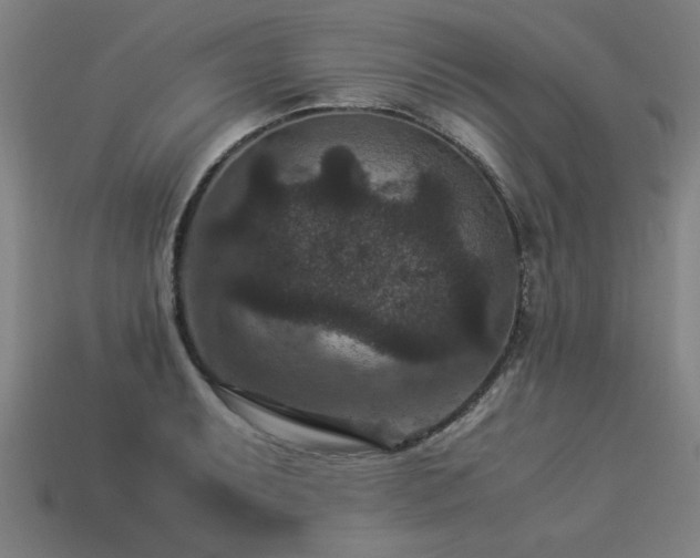 X0000113951087200909251334