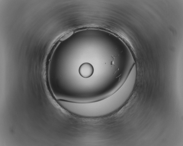X0000113951088200909251334