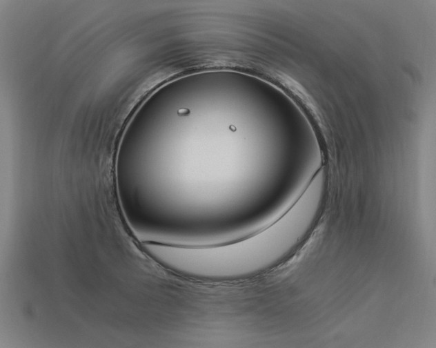 X0000113951089200909251334