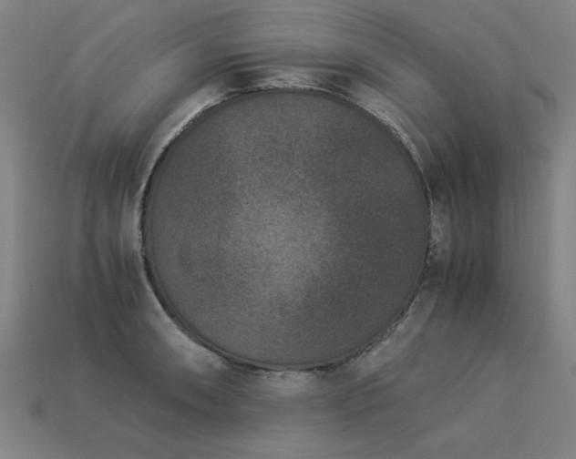 X0000113951090200909251334