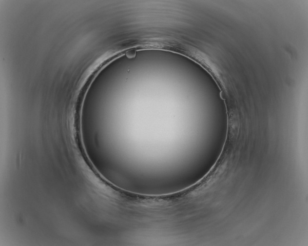 X0000113951091200909251334