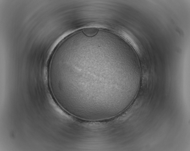 X0000113951092200909251334