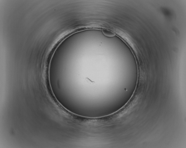X0000113951093200909251334