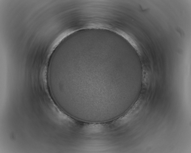 X0000113951094200909251333
