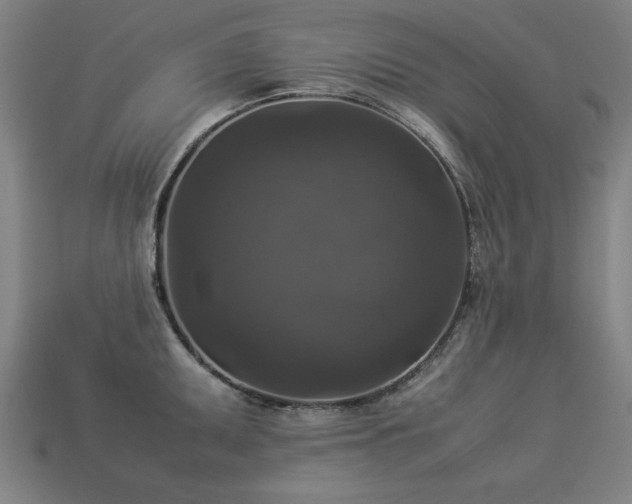 X0000113951095200909251333