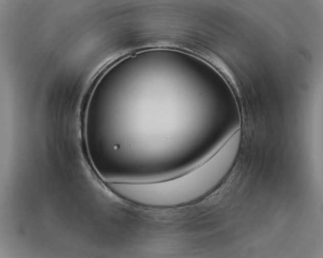 X0000113951096200909251333