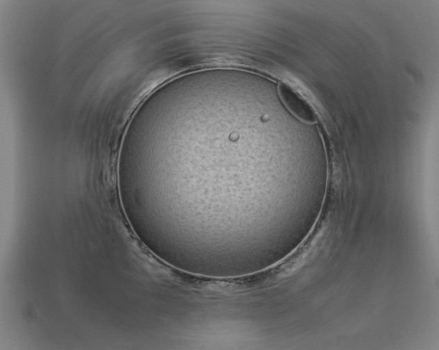 X0000113951097200909251333