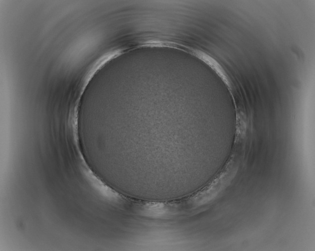 X0000113951098200909251333