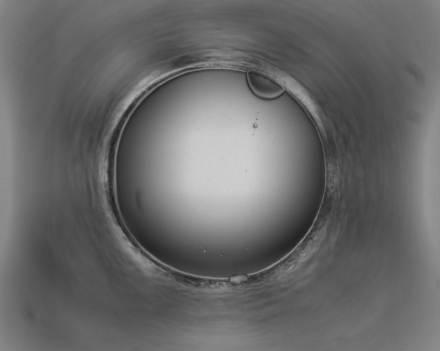 X0000113951099200909251333