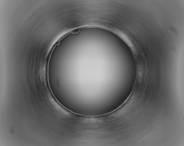 X0000113951100200909251333