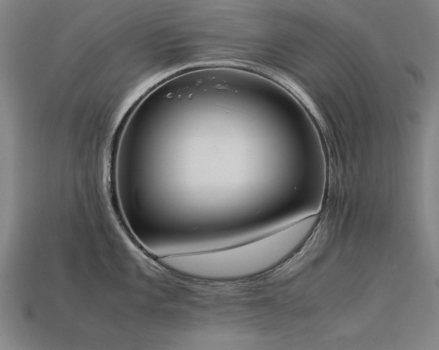 X0000113951101200909251333