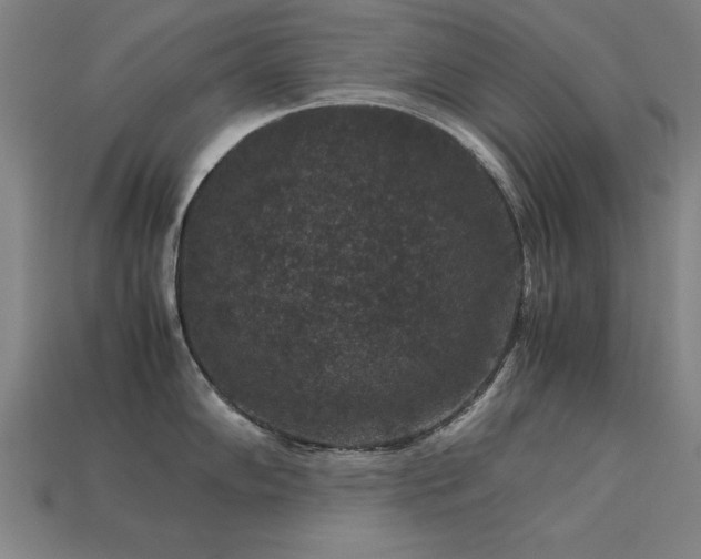 X0000113951102200909251333