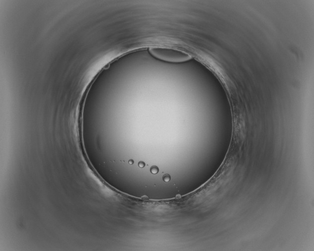 X0000113951103200909251333