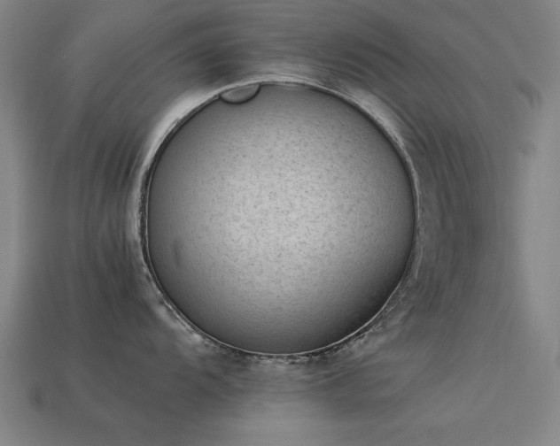 X0000113951104200909251333