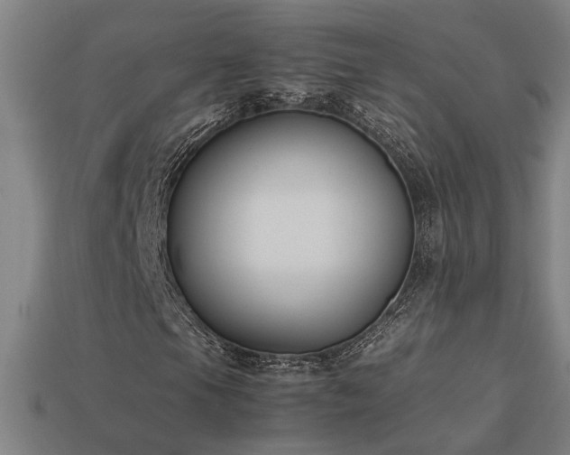 X0000113951105200909251333