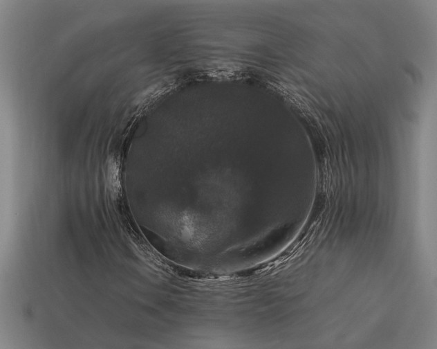 X0000113951106200909251333