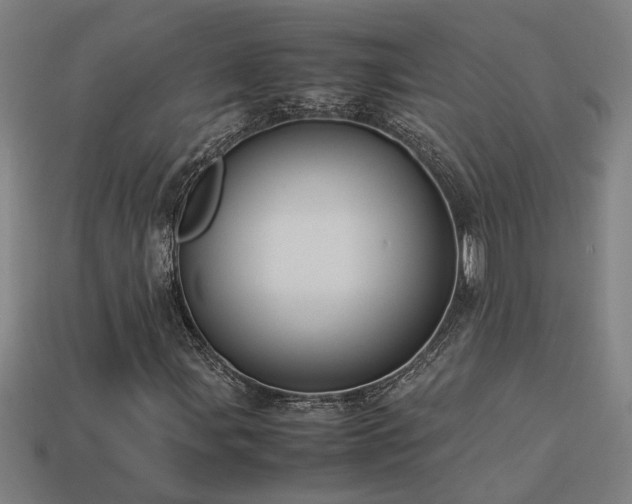 X0000113951107200909251333